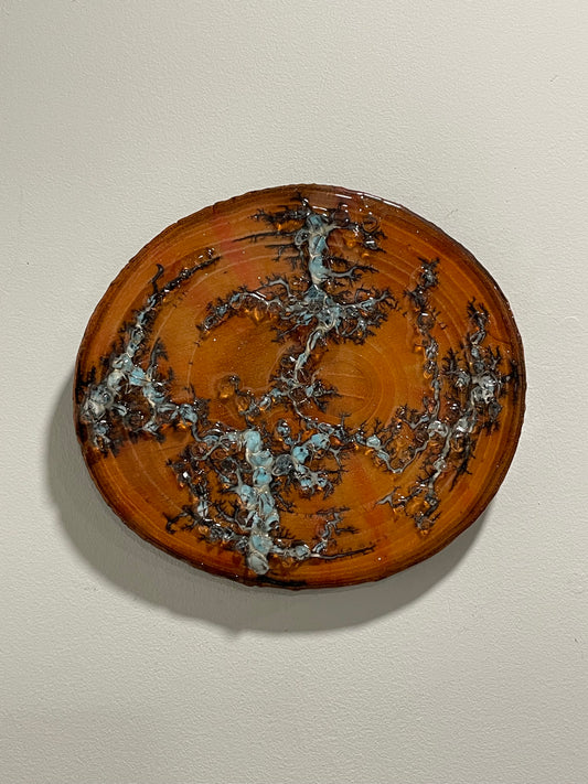 “Closet Bitcoiner” 2023 9-10” natural round.