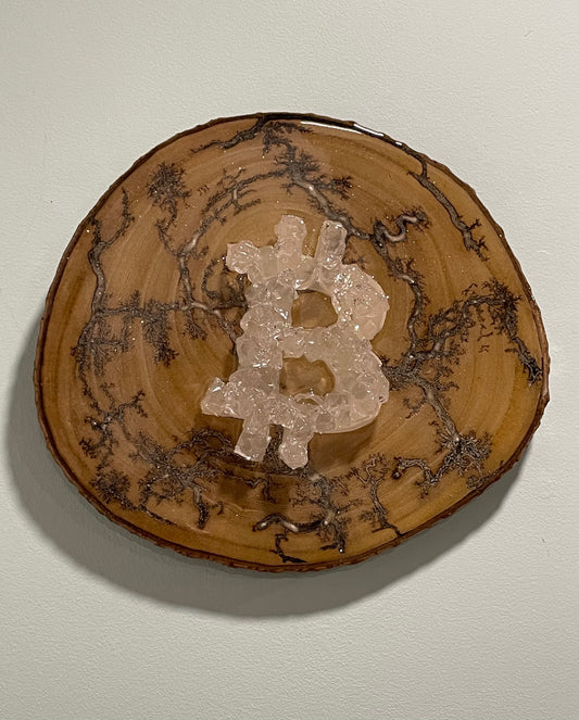 “B” Bold:  11-12” natural round